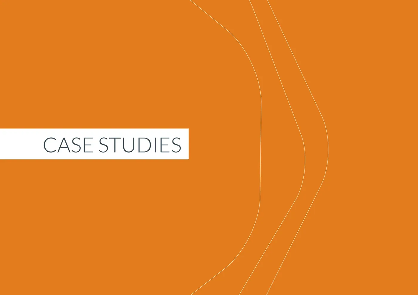 Bravesight Capabilities & Services eBook, image 4