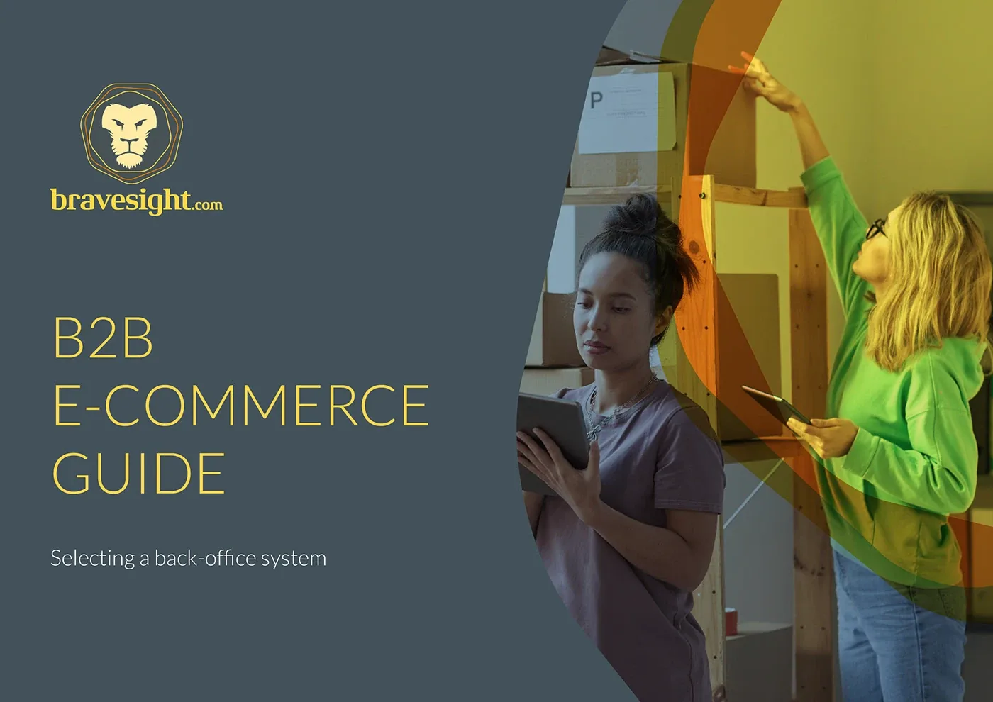Bravesight E-commerce Guide Series · Selecting a back-office system, image 1