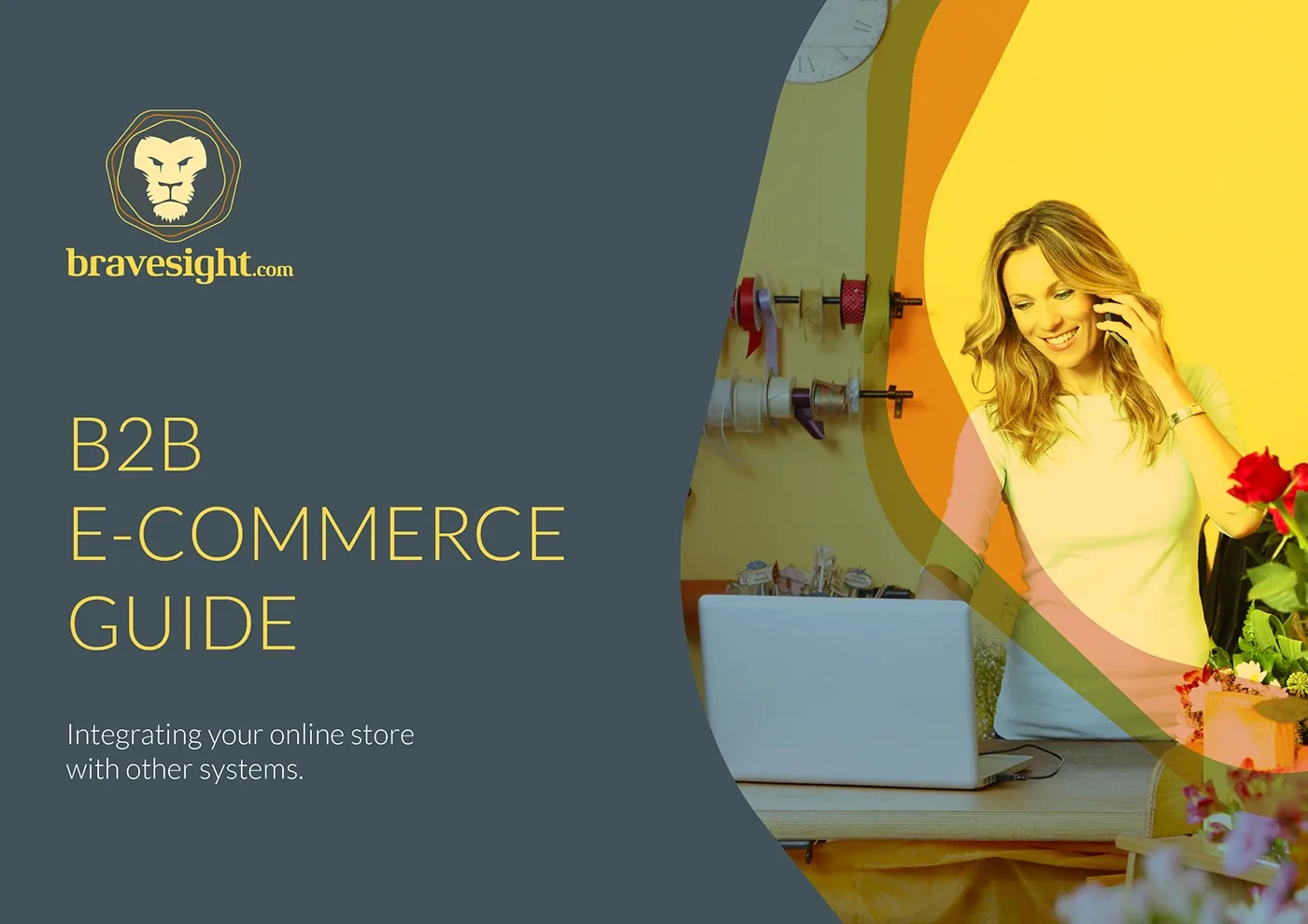 Bravesight E-commerce Guide Series · Integration, image 1