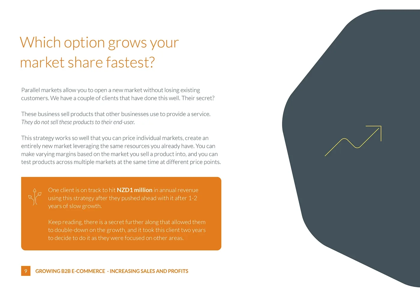 Bravesight E-commerce Guide Series · Growth, image 9