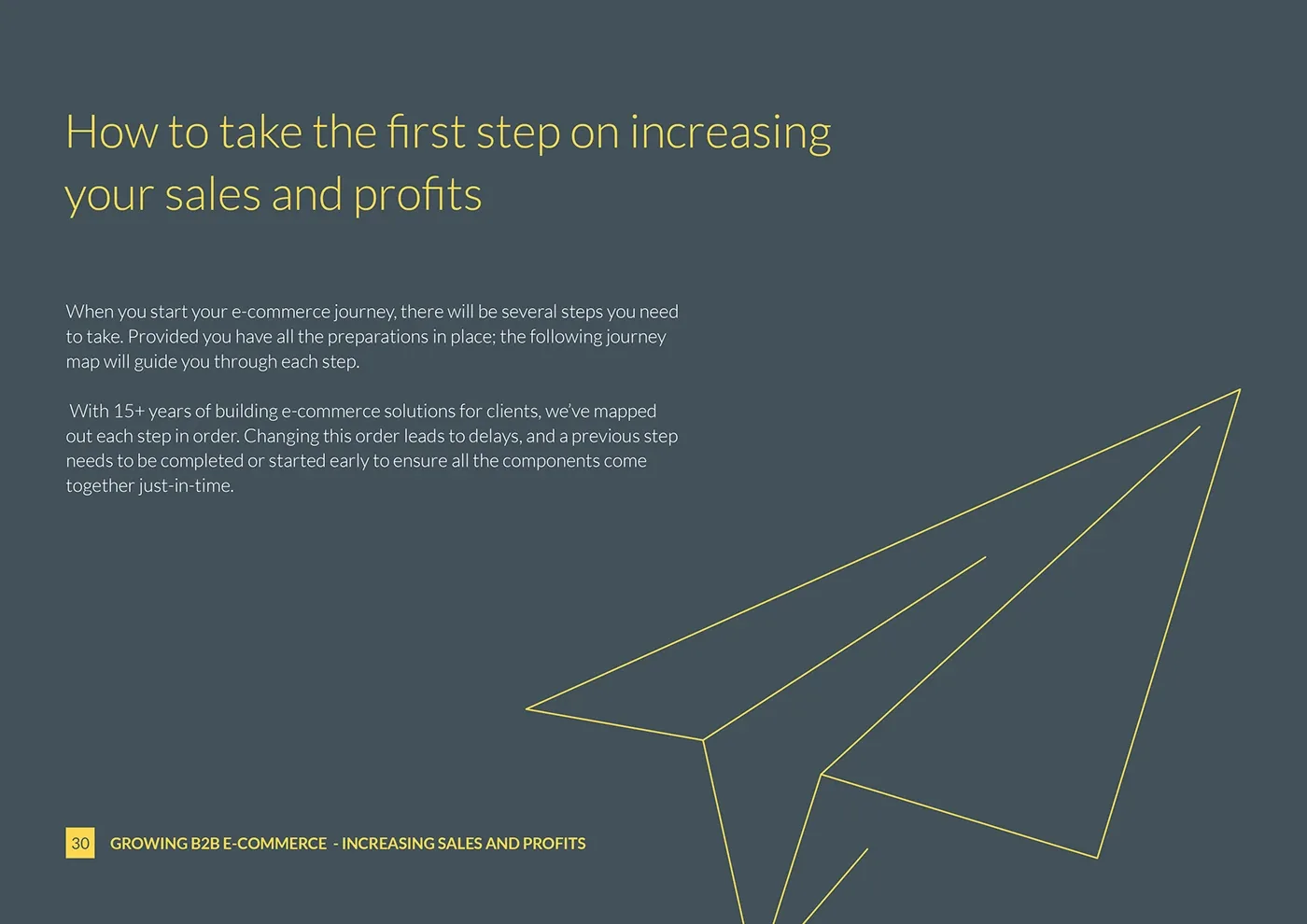 Bravesight E-commerce Guide Series · Growth, image 30