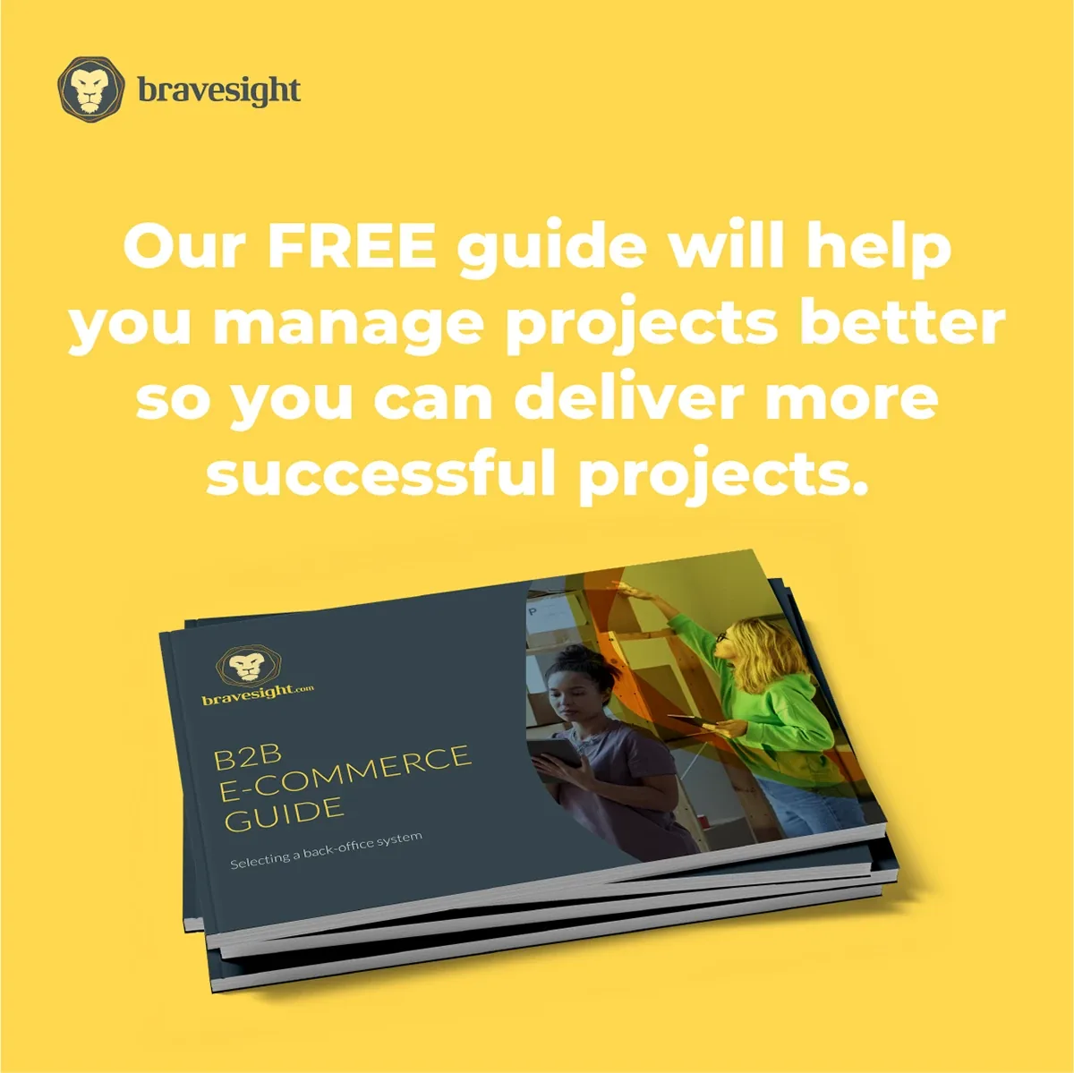 Bravesight LinkedIn Carousels · Proper project delivery on a tight budget, image 3