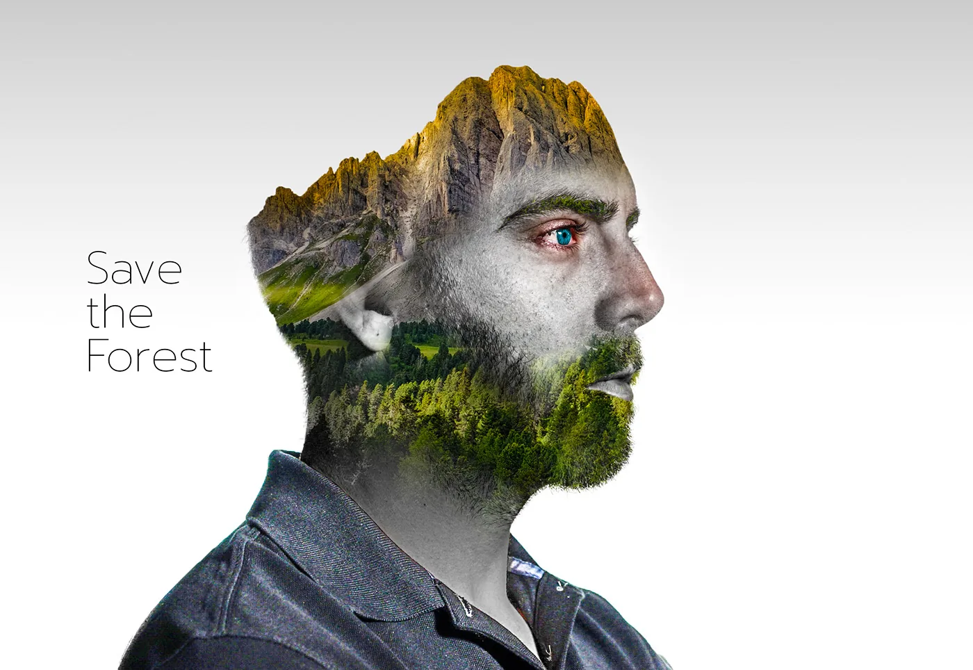 Save the Forest, image 1