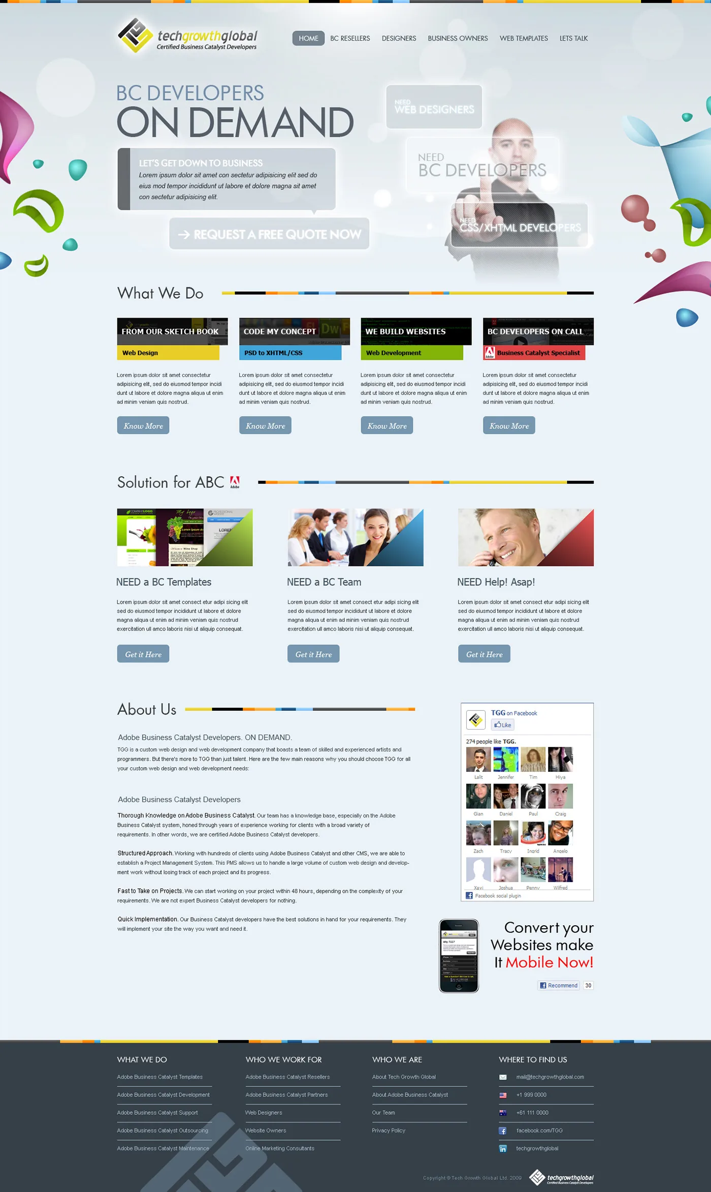 Techgrowthglobal Website, image 1
